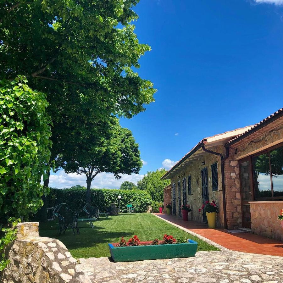 Agriturismo Poggio Del Drago 蒙特马拉诺 外观 照片