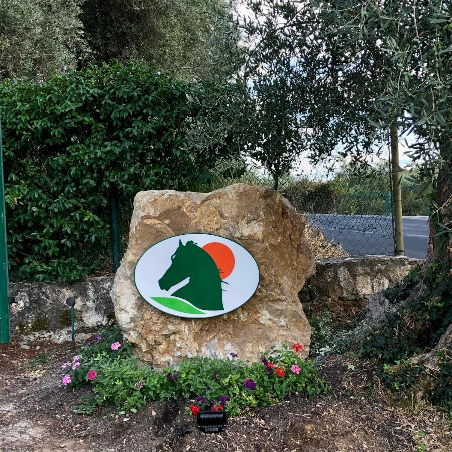Agriturismo Poggio Del Drago 蒙特马拉诺 外观 照片
