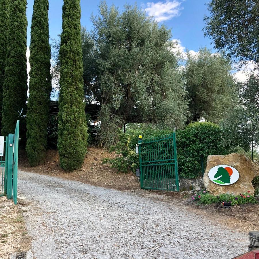 Agriturismo Poggio Del Drago 蒙特马拉诺 外观 照片