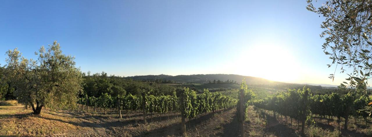 Agriturismo Poggio Del Drago 蒙特马拉诺 外观 照片