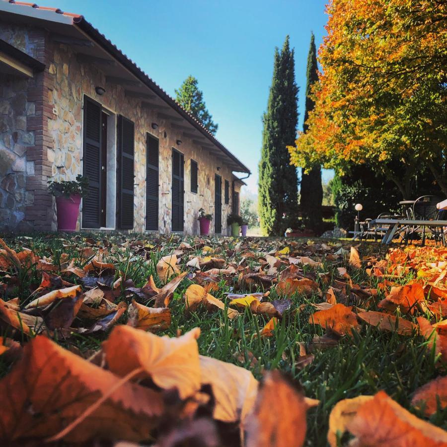 Agriturismo Poggio Del Drago 蒙特马拉诺 外观 照片