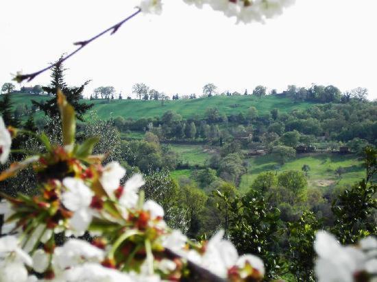 Agriturismo Poggio Del Drago 蒙特马拉诺 外观 照片