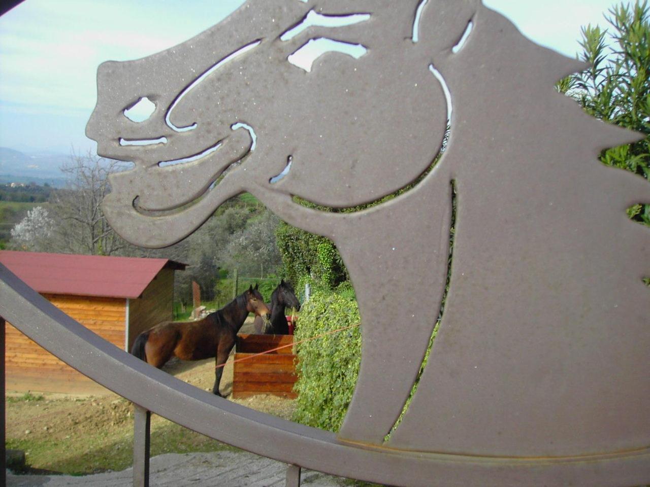 Agriturismo Poggio Del Drago 蒙特马拉诺 外观 照片
