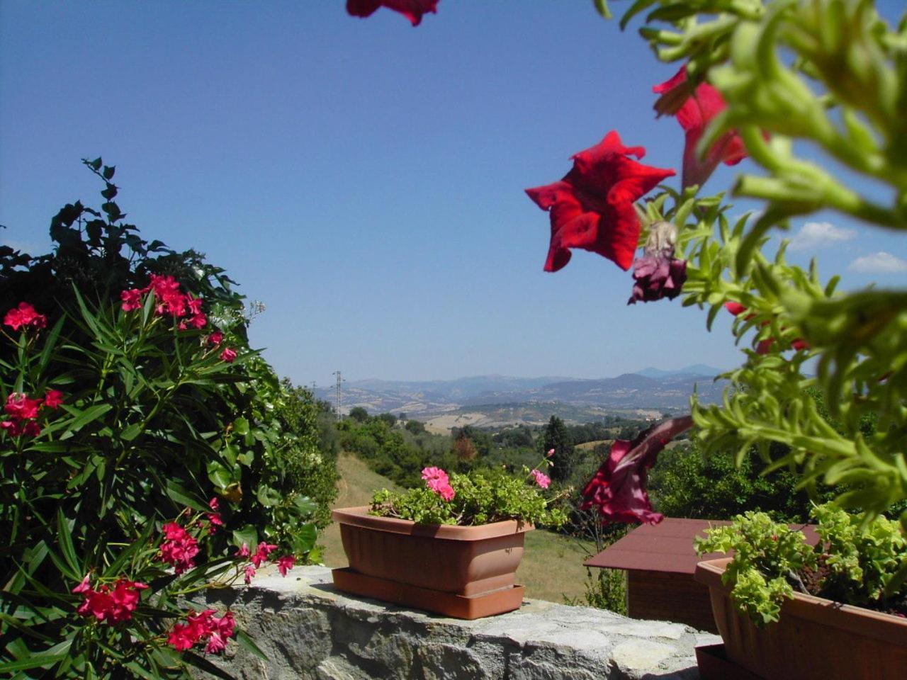 Agriturismo Poggio Del Drago 蒙特马拉诺 外观 照片