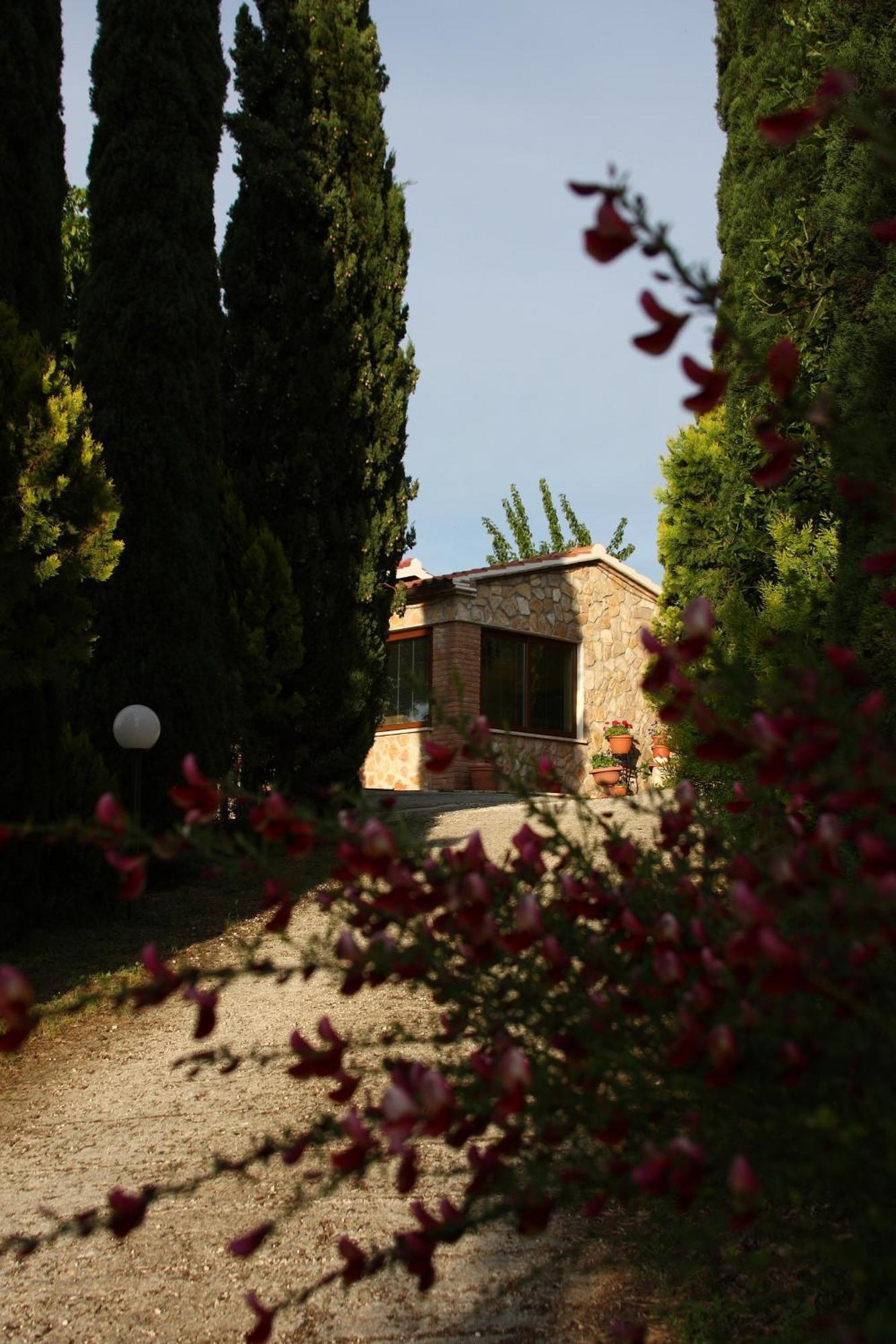 Agriturismo Poggio Del Drago 蒙特马拉诺 外观 照片